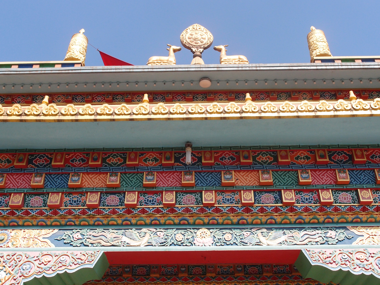 2018-01-22 10 Uhr - Boudha Walk (Foto) 